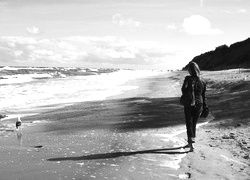 Szary + Sepia