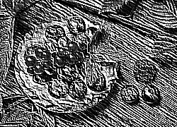 Skamielina