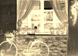 Sepia + Negatyw