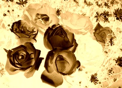 Sepia + Negatyw