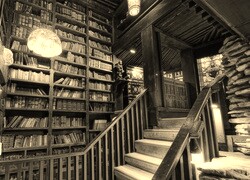 Szary + Sepia