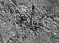 Skamielina
