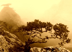 Sepia