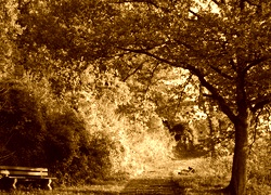 Sepia