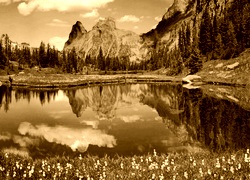 Sepia