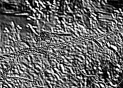 Skamielina