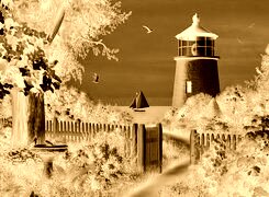 Sepia + Negatyw