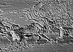 Skamielina