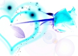 Negatyw