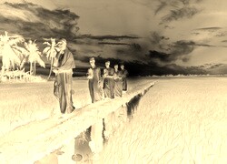 Sepia + Negatyw
