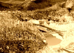 Sepia + Negatyw