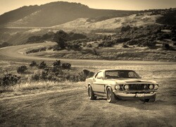 Szary + Sepia
