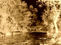 Sepia + Negatyw