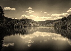 Szary + Sepia