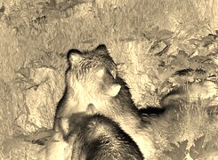 Sepia + Negatyw