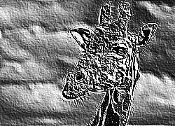Skamielina