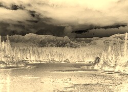 Sepia + Negatyw