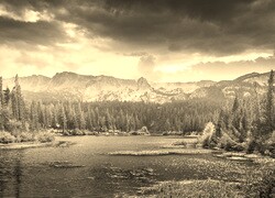 Sepia