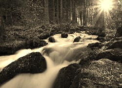 Szary + Sepia