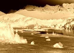 Sepia + Negatyw