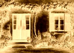 Sepia + Negatyw