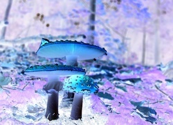 Negatyw
