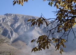 Oryginalny obrazek