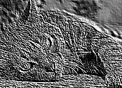 Skamielina