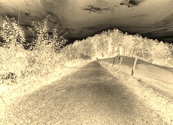 Sepia + Negatyw