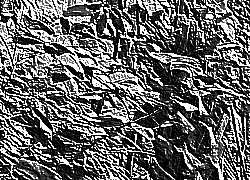 Skamielina