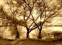 Sepia