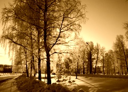 Sepia