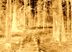 Sepia + Negatyw