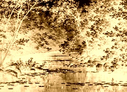 Sepia + Negatyw