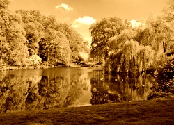 Sepia