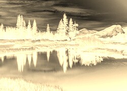 Sepia + Negatyw