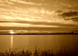 Sepia