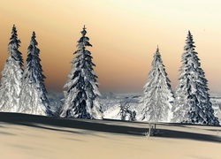 Negatyw