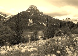 Szary + Sepia