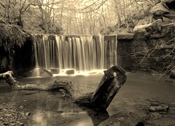 Sepia