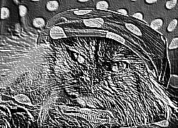 Skamielina