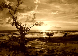 Sepia