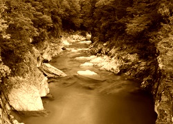 Sepia