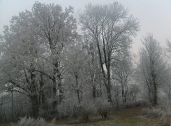Oryginalny obrazek