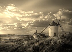 Szary + Sepia