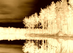 Sepia + Negatyw