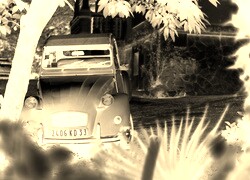 Sepia + Negatyw