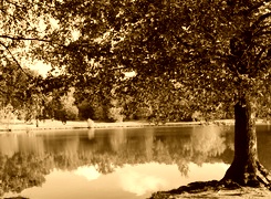Sepia