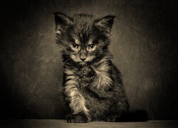 Sepia