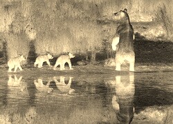 Sepia + Negatyw